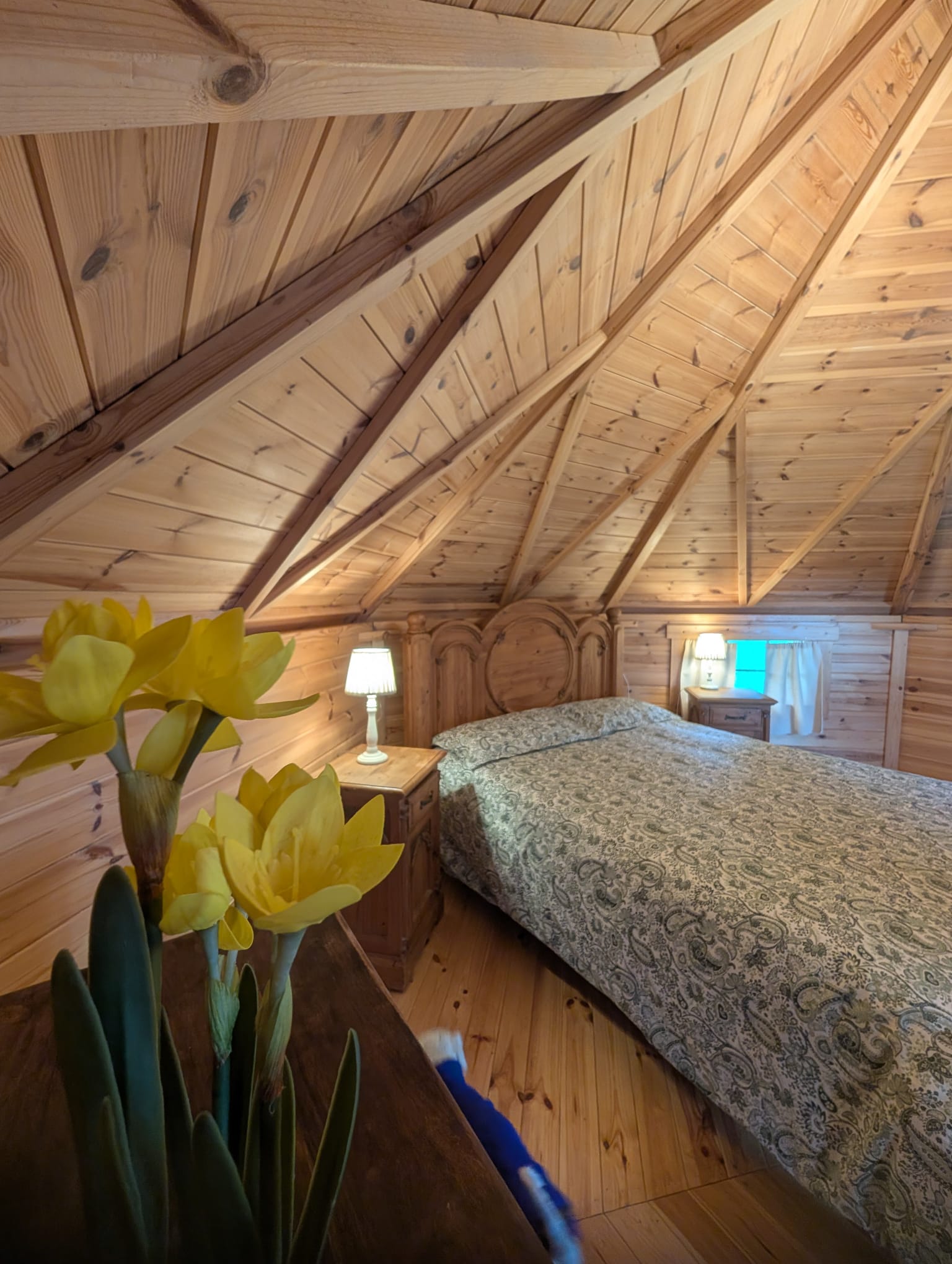 Accommodation photo 6